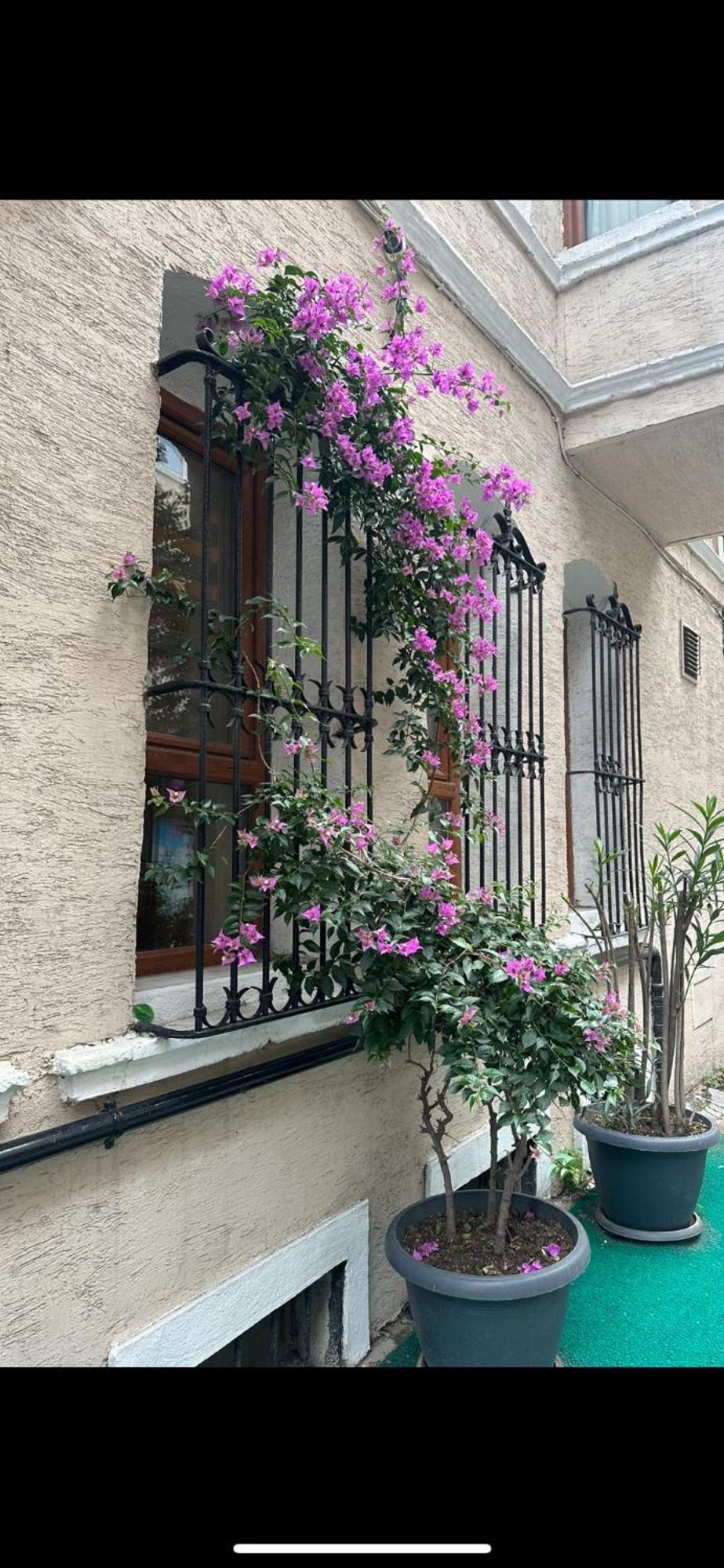 Hotel Orkide — Fotoğraflar 1
